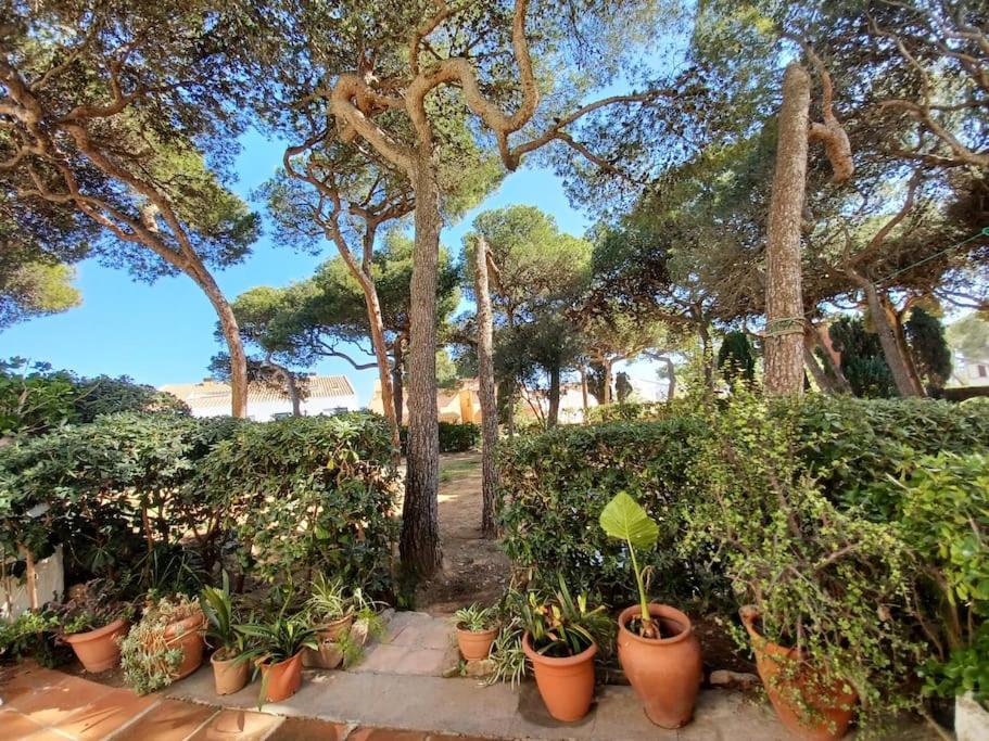 Apartamento Roc Mar Llafranc Exterior photo